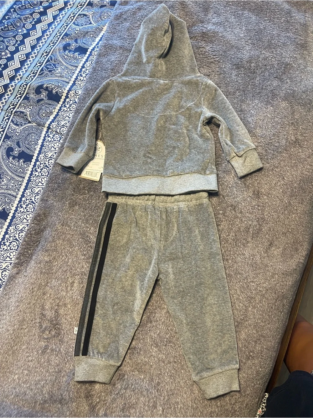 The Honest Company Grey Skull Hoodie & Joggers Set